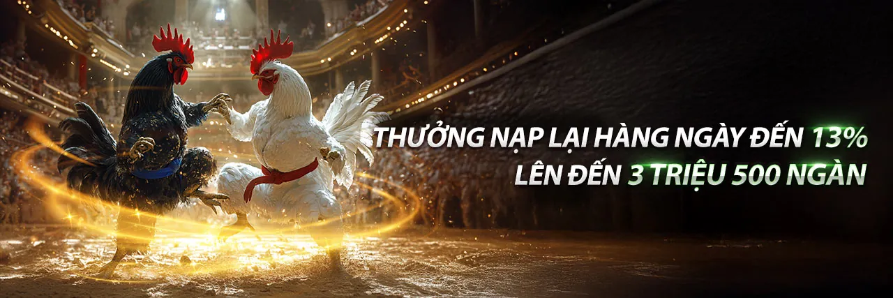 Sân vận động bóng đá với ánh đèn rực rỡ và logo new88bi khuyến mãi, tượng trưng cho cá cược thể thao đỉnh cao